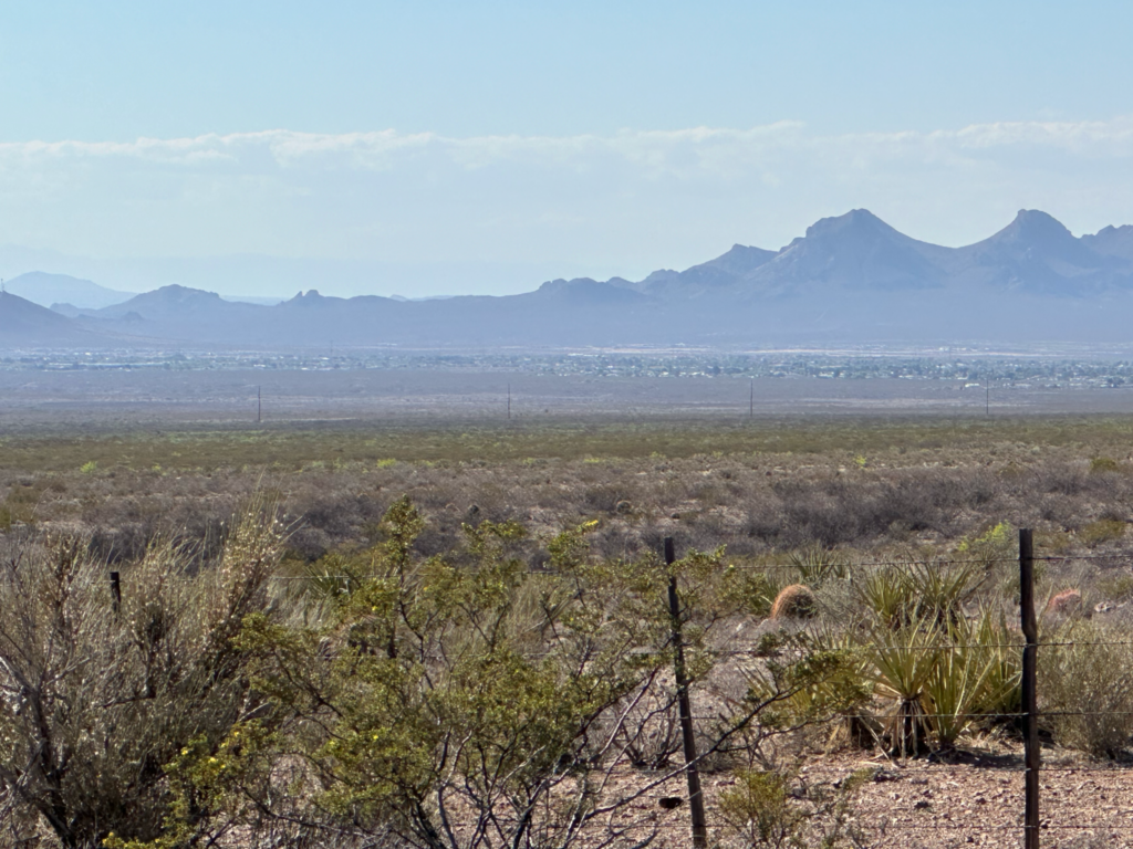 Desert landscape with mountains in the background.