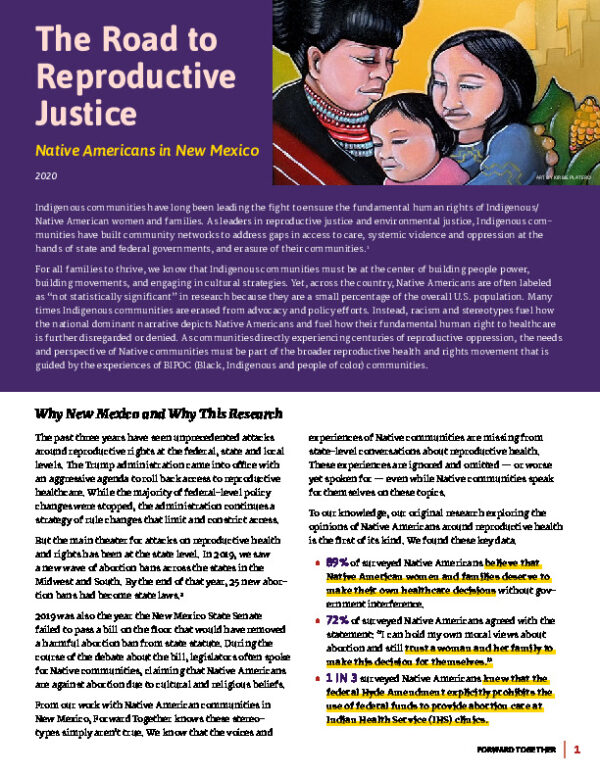 The Road to Reproductive Justice: Native Americans in New Mexico